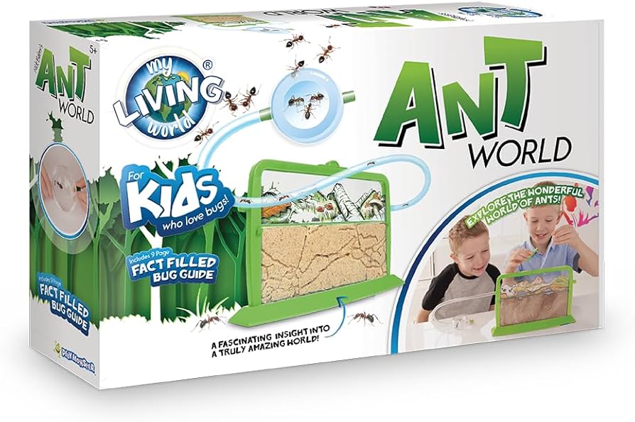 Nick Bakers Seangán Domhanda