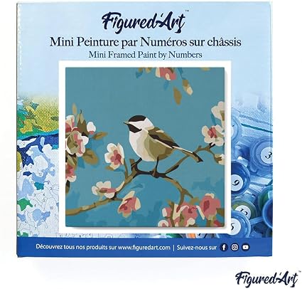 Mini Paint By Numbers Birds Painting 20x20cm Framed Canvas