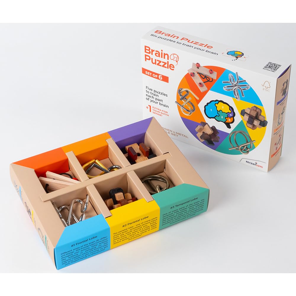 Brain Puzzle - Set of 6