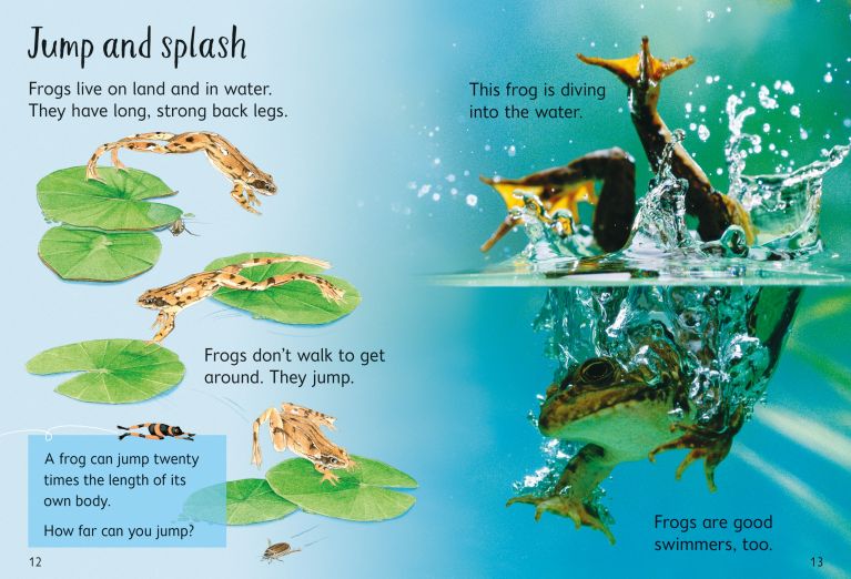 Usborne Beginners - Tadpoles & Frogs
