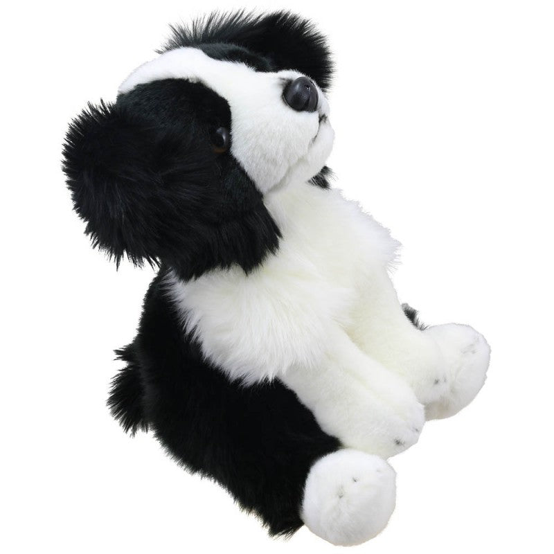Wilberry Favourites Border Collie