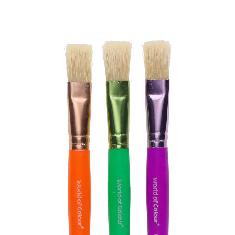 World of Colour Toddler Round Flat 3pk