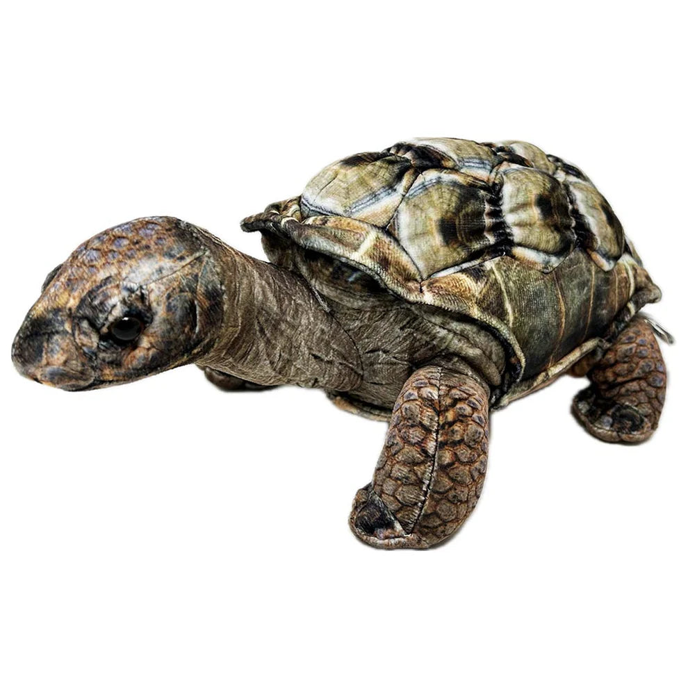 Zappi Jenny the Tortoise 12.5" Eco Plush