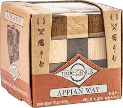 True Genius Appain Way - Wood Brainteaser Puzzle
