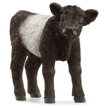 Schleich Galloway Calf - 13969