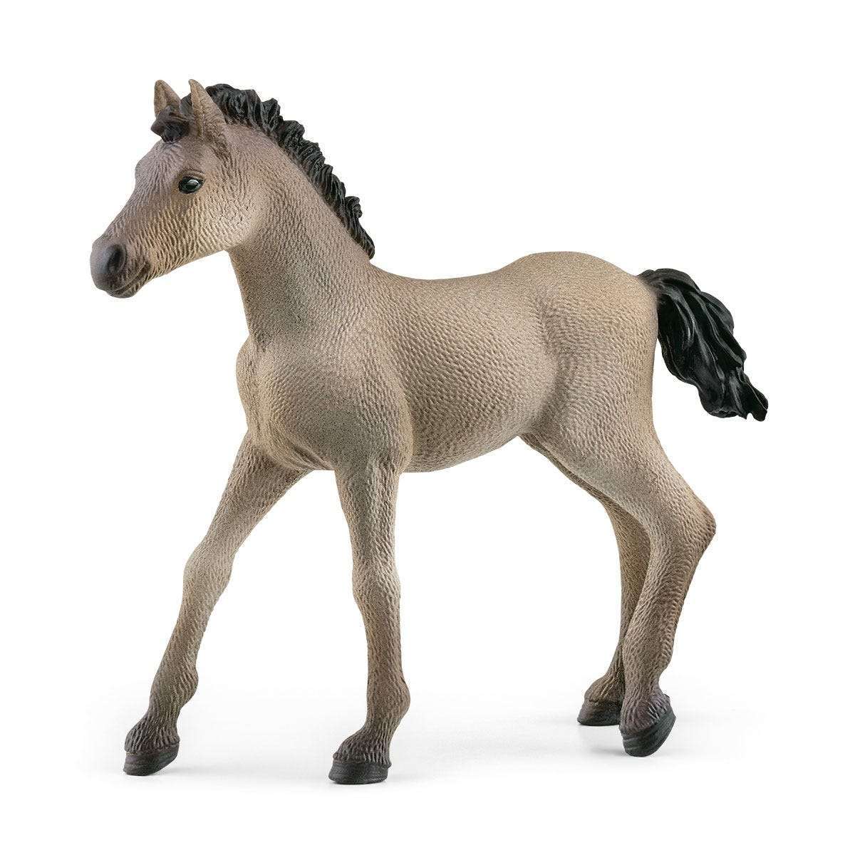Schleich - Criollo Definitivo Foal - 13949