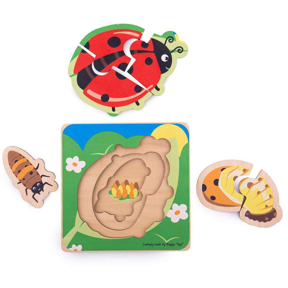 Big Jigs Lifecycle Layer Puzzle Ladybird