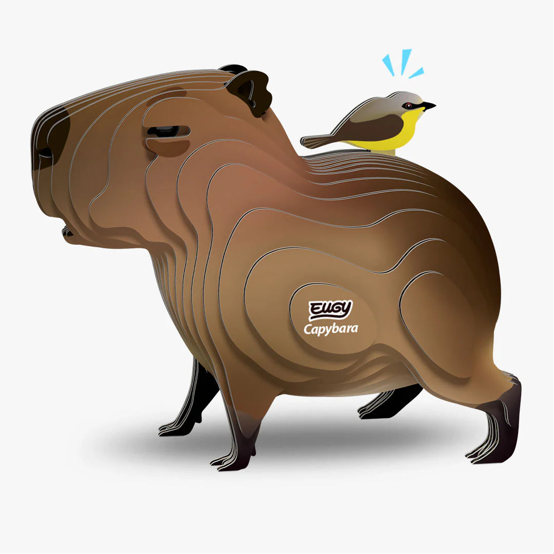 Eugy Capybara