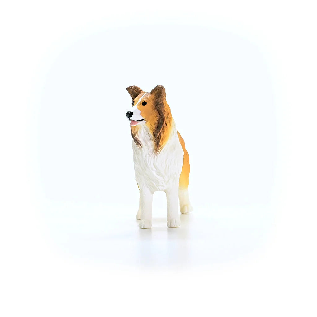 Schleich Collie