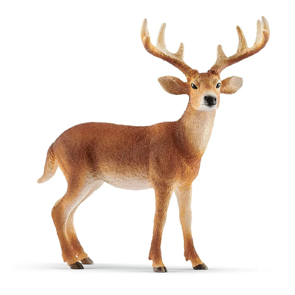 Schleich - White Tailed Buck - 14818