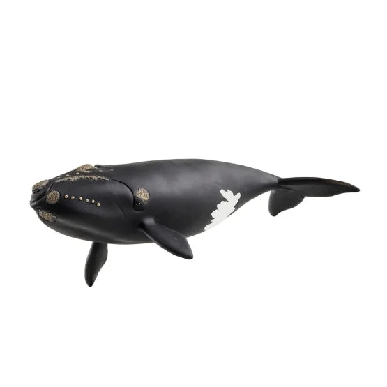 Schleich Wildlife Schleich North Atlantic Whale
