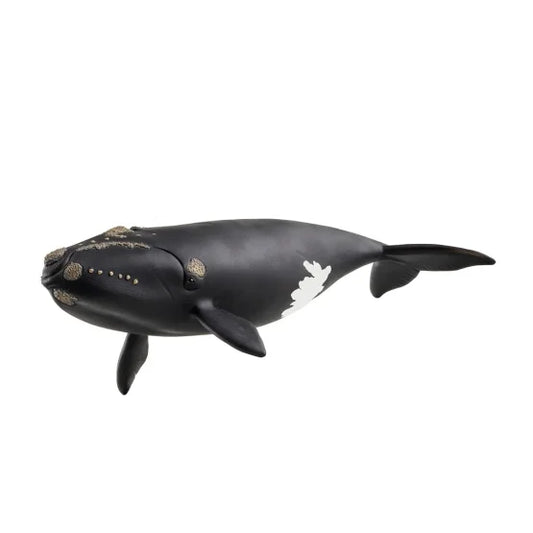 Schleich Wildlife Schleich North Atlantic Whale