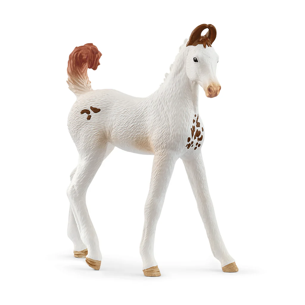 Schleich - Marwari Foal - 14896