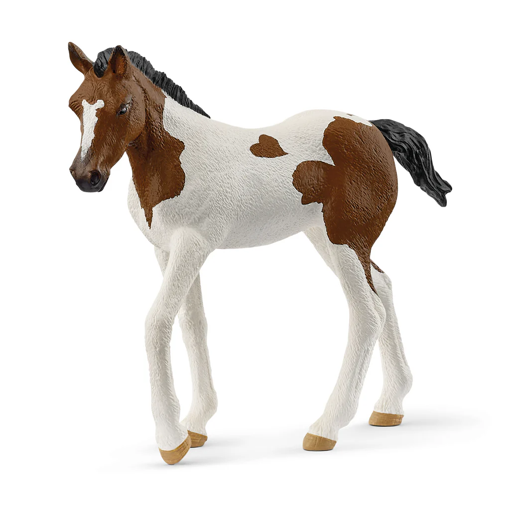 Schleich - Paint Horse Foal - 14899