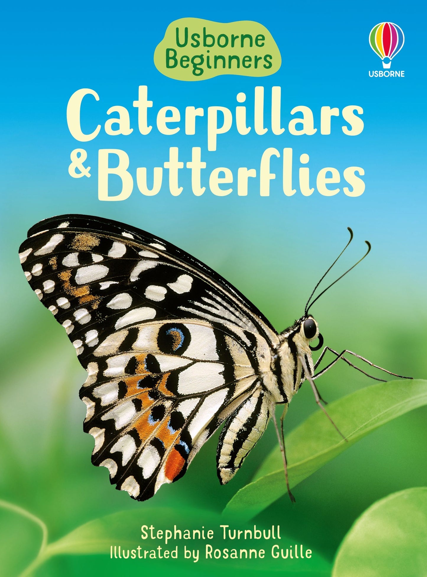 Usborne Beginners - Caterpillars & Butterflies