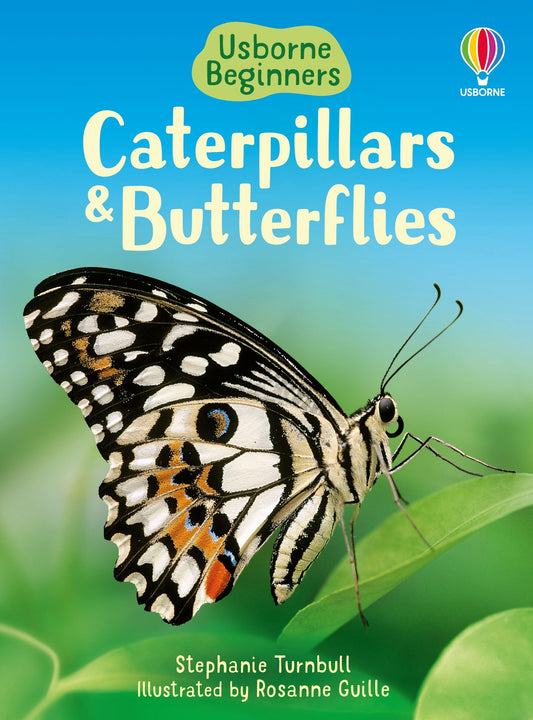 Usborne Beginners - Caterpillars & Butterflies