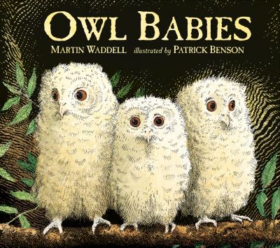 Owl Babies Board Book