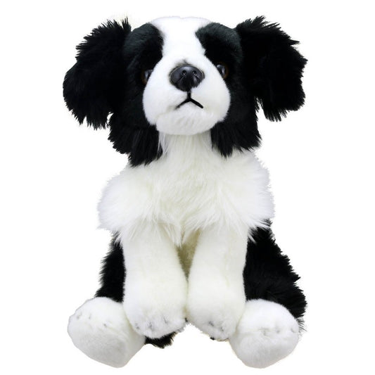 Wilberry Favourites Border Collie