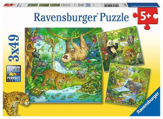 Jigsaw Jungle Fun 3 x 49pc Ravensburger