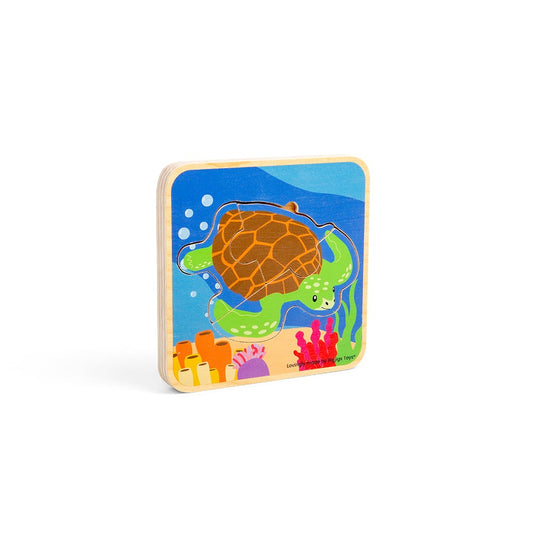 Lifecycle Layer Puzzle Sea Turtle