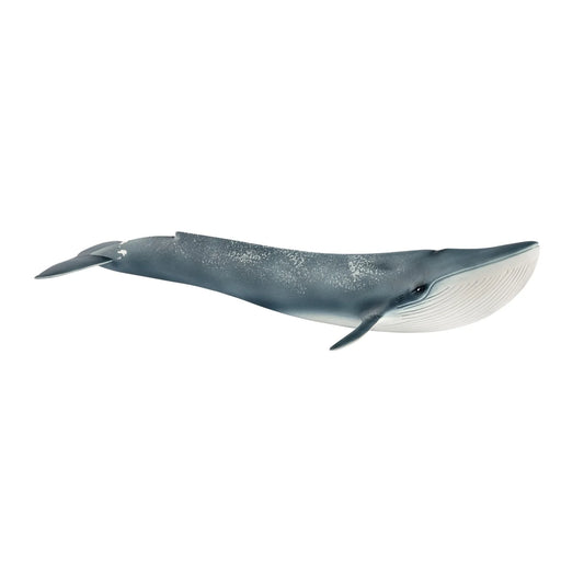 Schleich - Blue Whale - 14806