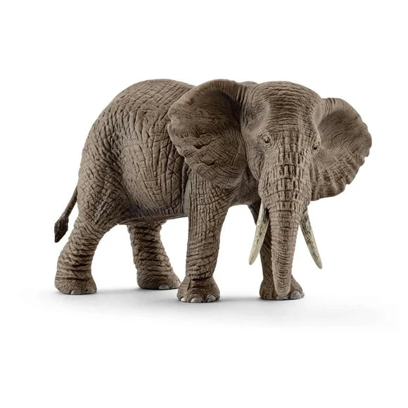 Eilifint Afracach Schleich - 14761