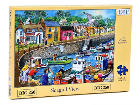 Radharc an Faoileán MÓR 250 Teach na bPuzal Jigsaw