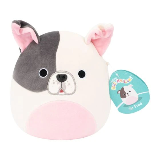 Squishmallow 7.5" Sir Fred - Pitbull