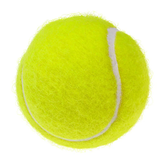 Tennis Ball Single Pro Ball