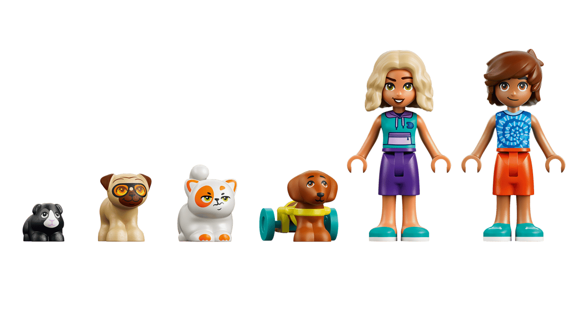 LEGO Friends - Fun Water Park Day - 42676