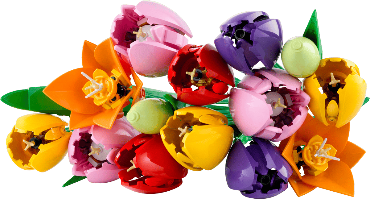 LEGO Botanicals - Tulip Bouquet - 11501