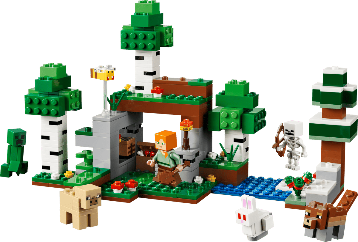 LEGO Minecraft - First Night Adventure - 21593