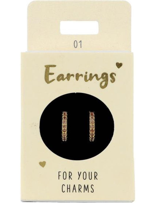 Earrings Gold, Round