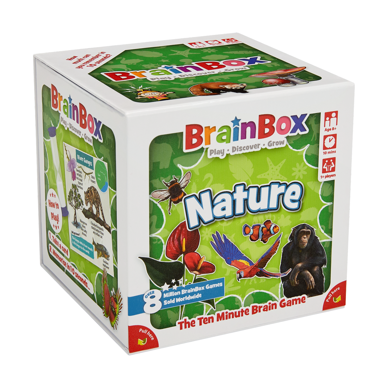 Dúlra Brainbox