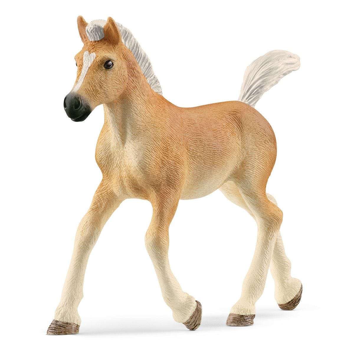 Schleich - Haflinger Foal - 13951