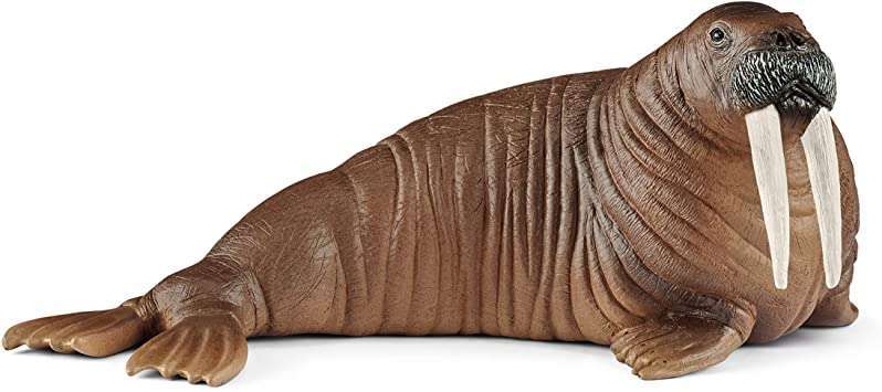 Schleich - Walrus - 14803