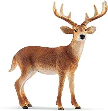 Schleich - White Tailed Buck - 14818