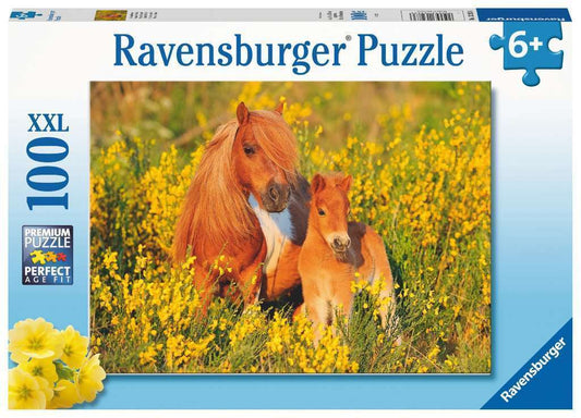 Shetland Pony - 100pc - Ravensburger 13283
