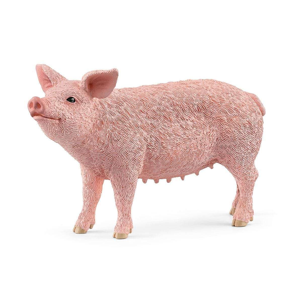 Schleich - Pig - 13933