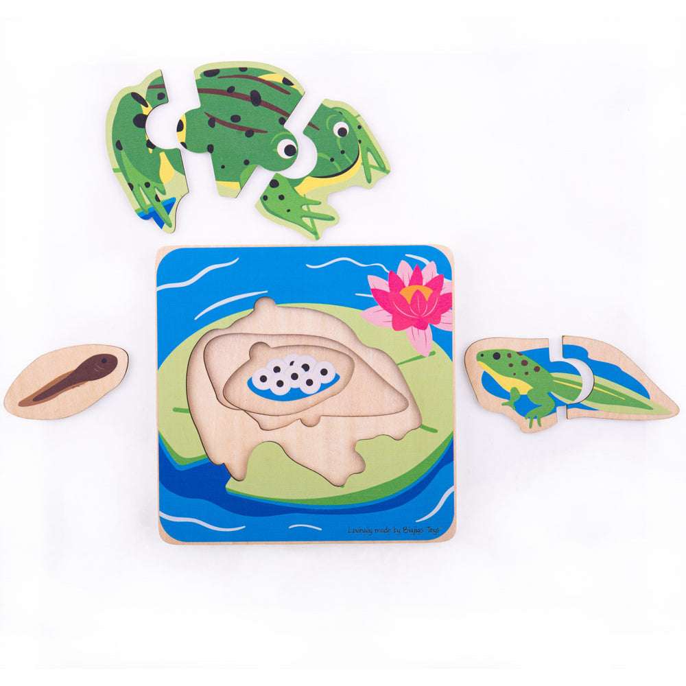 Big Jigs Lifecycle Layer Puzzle Frog