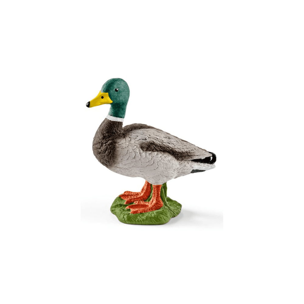 Schleich Drake - 13824