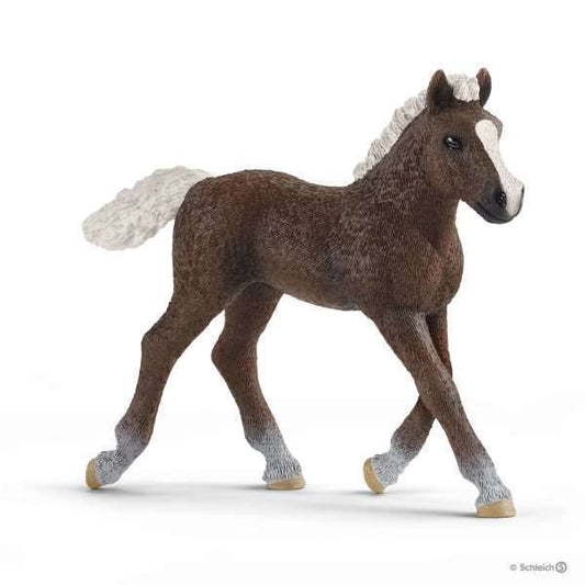 Schleich - Black Forest Foal - 13899