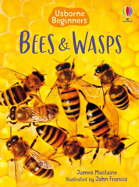 Usborne Beginners - Bees and Wasps