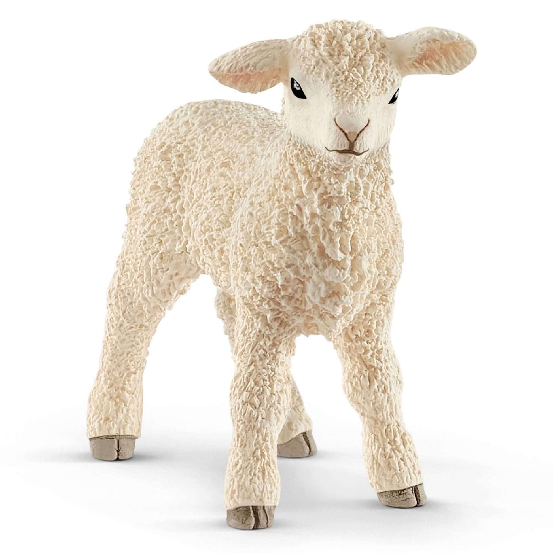 Schleich Lamb - 13883