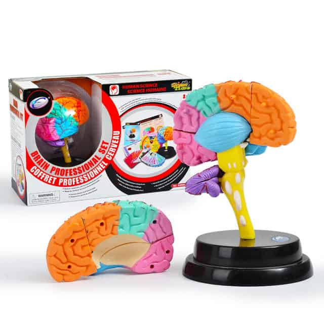 Brain Professional Set