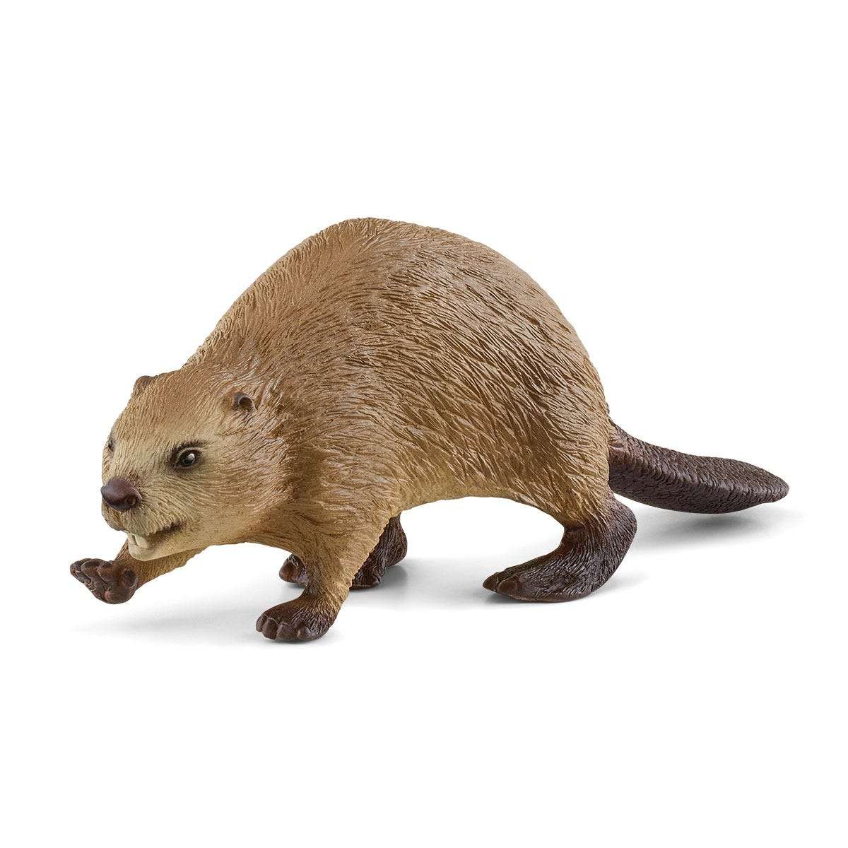 Schleich - Beaver - 14855