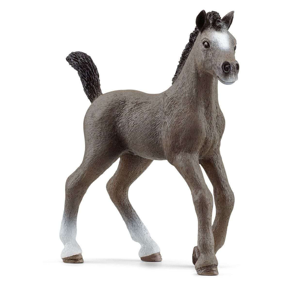 Schleich - Selle Français Foal - 13957