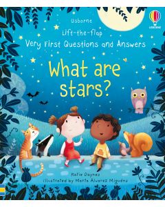 Usborne Lift-the-Flap - What Are Stars?