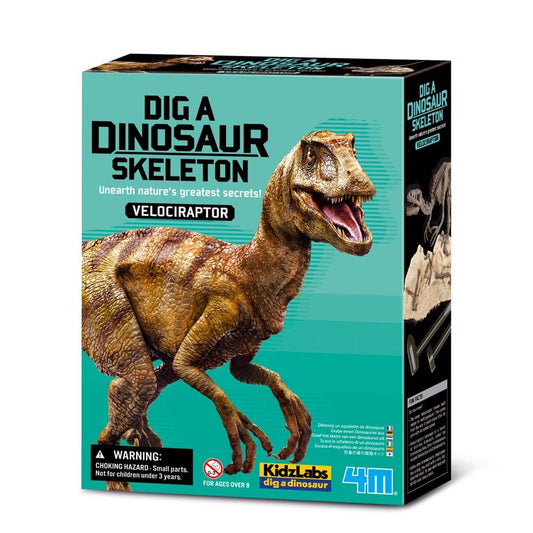 Velociraptor Skeleton Excavation Kit - Dig a Dinosaur