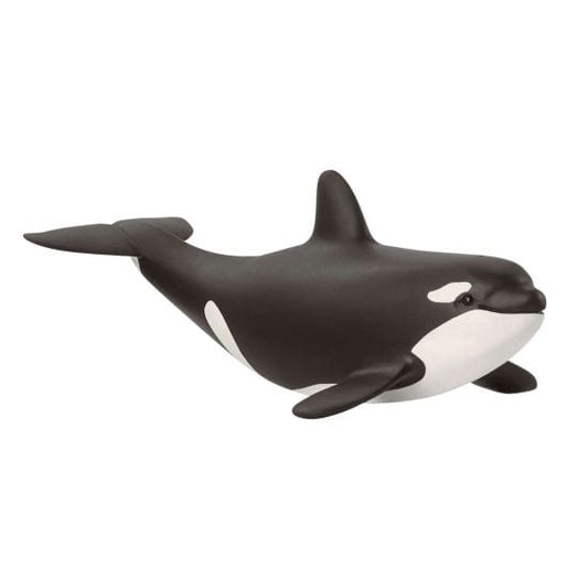Schleich - Baby Orca | Baby Killer Whale - 14836